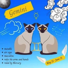 Clowder Press Cats of Zodiac. Gemini